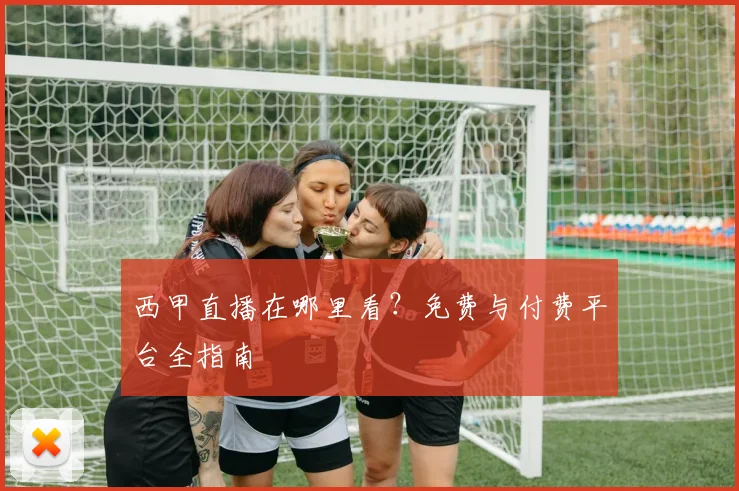 西甲直播在哪里看？免费与付费平台全指南