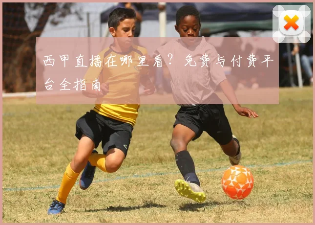 西甲直播在哪里看？免费与付费平台全指南