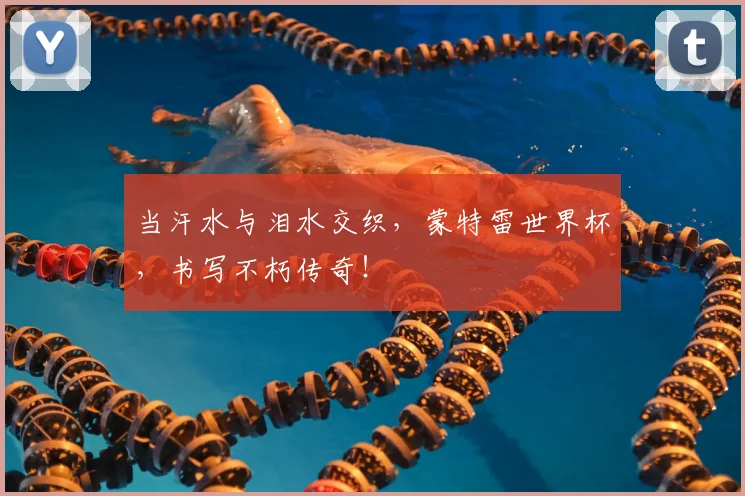 当汗水与泪水交织,蒙特雷世界杯,书写不朽传奇!
