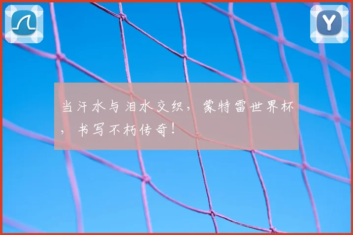 当汗水与泪水交织,蒙特雷世界杯,书写不朽传奇!