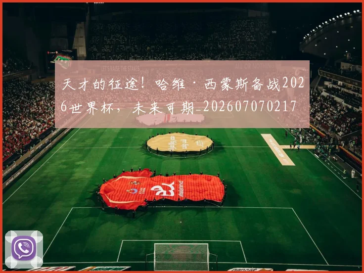 天才的征途!哈维·西蒙斯备战2026世界杯,未来可期_20260707021747